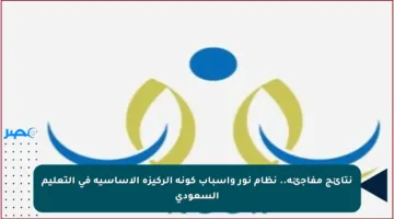 نتائج مفاجئة.. نظام نور وأسباب كونه الركيزة الأساسية في التعليم السعودي